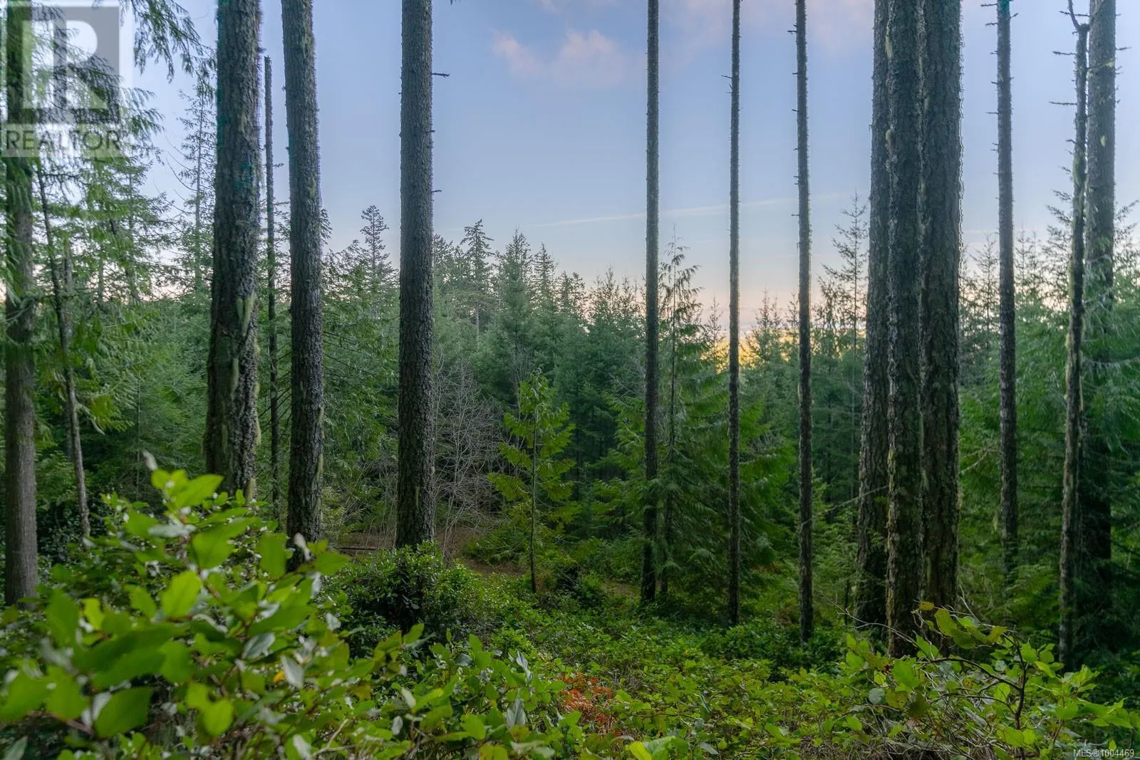 LOT 13 Longview Pl