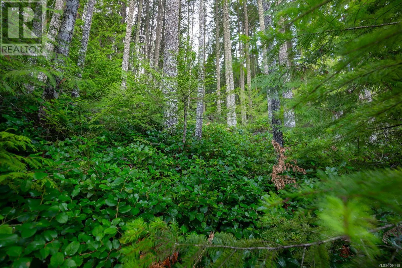 LOT 13 Longview Pl