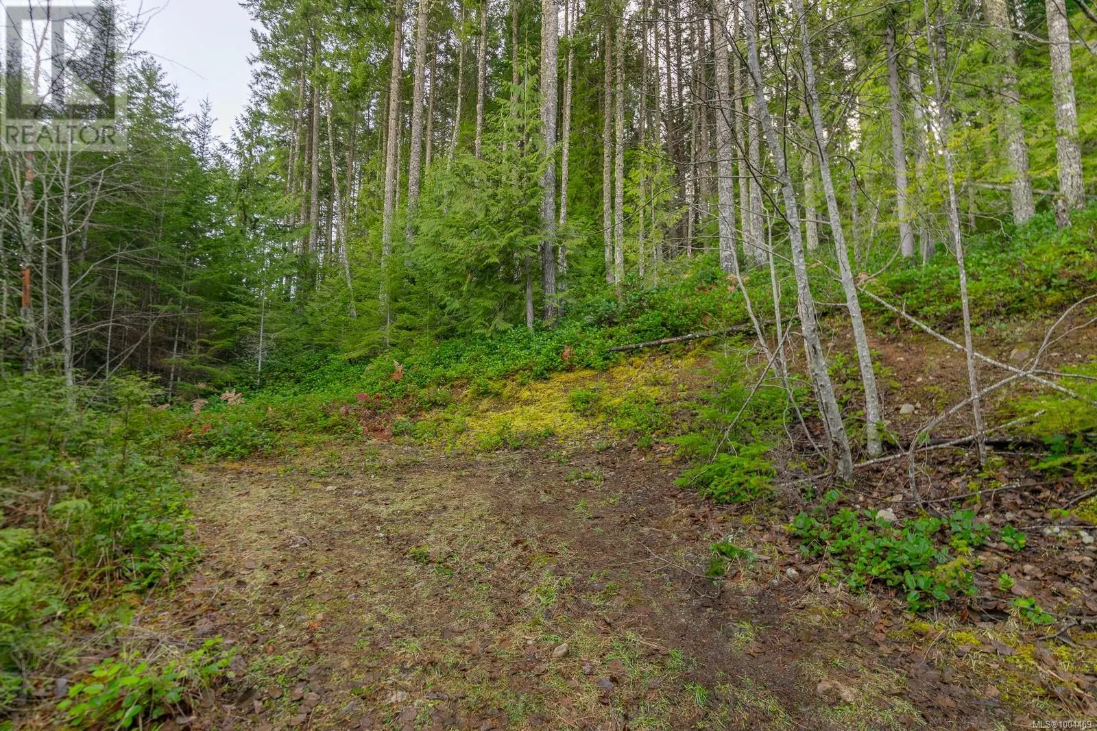 LOT 13 Longview Pl