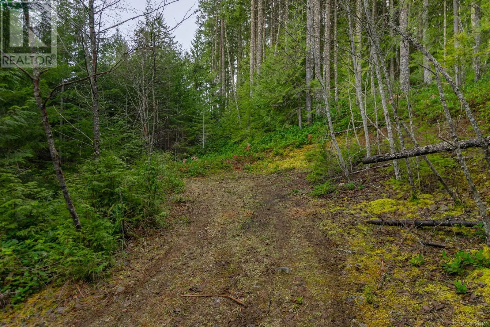 LOT 13 Longview Pl