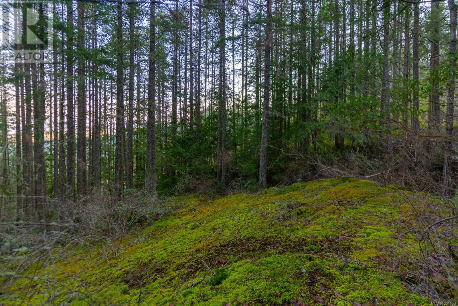 LOT 13 Longview Pl