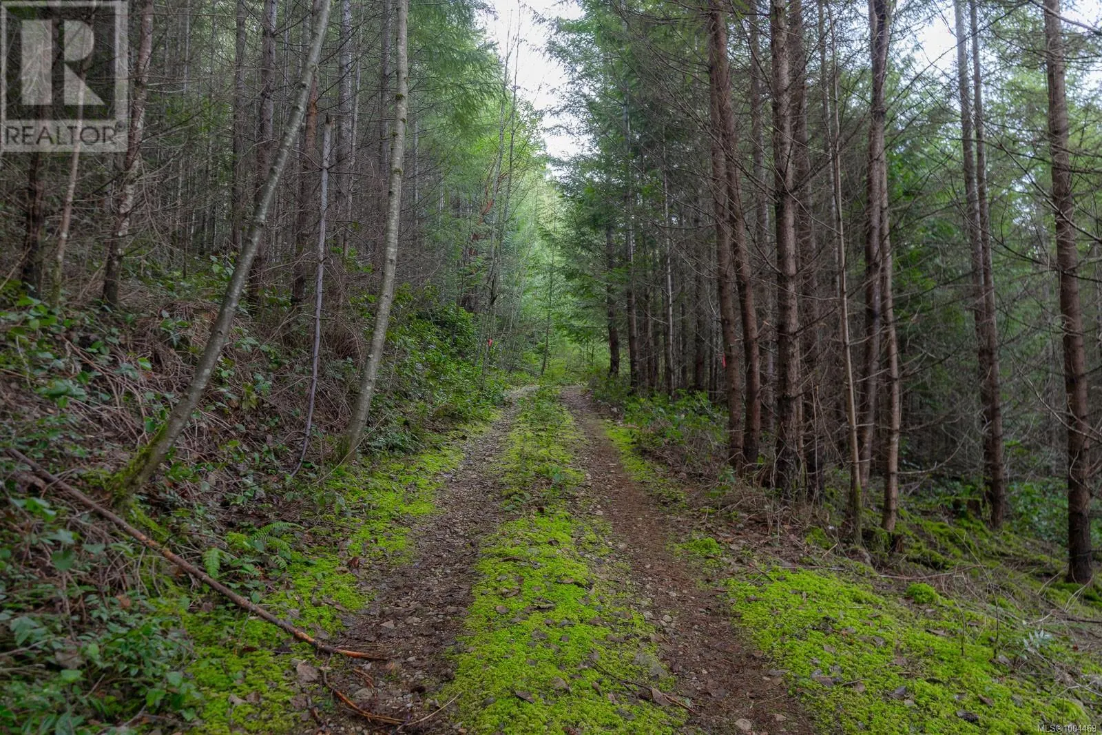LOT 13 Longview Pl
