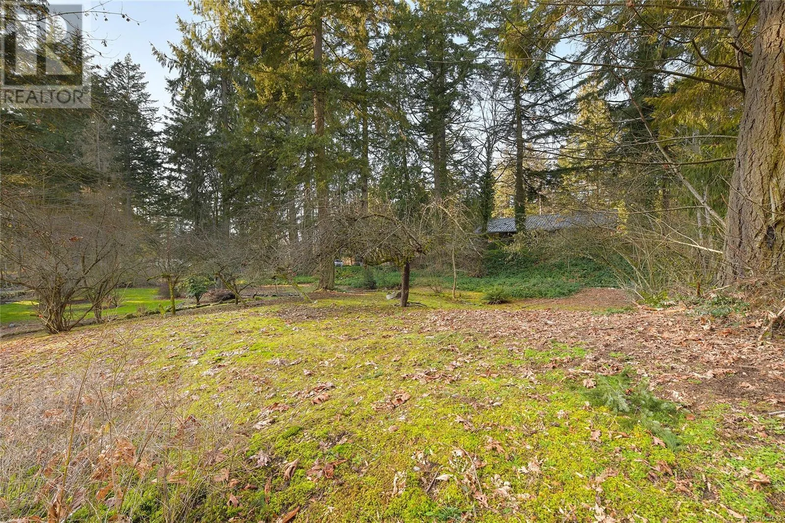 3795 GLENORA Rd