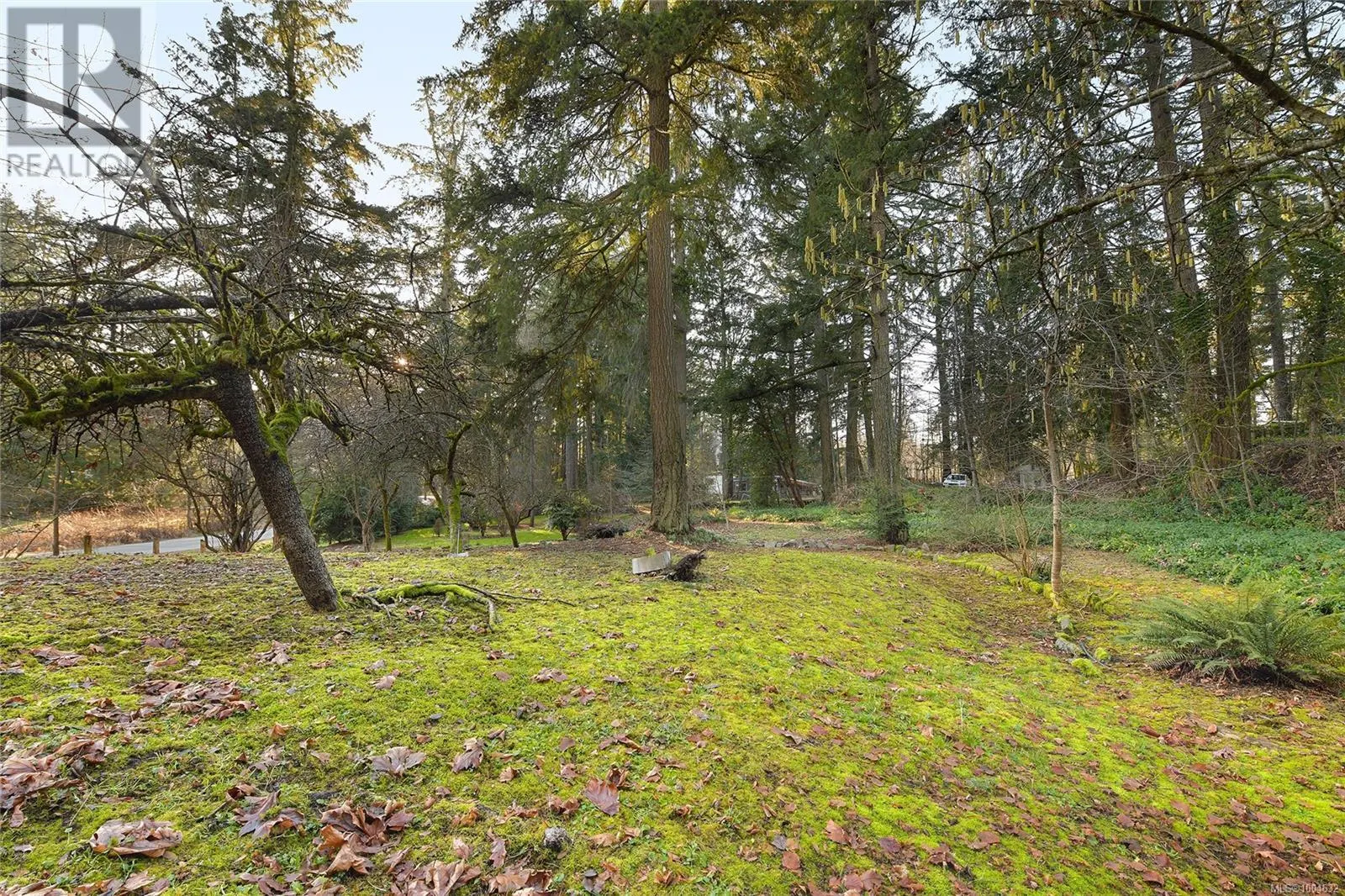 3795 GLENORA Rd