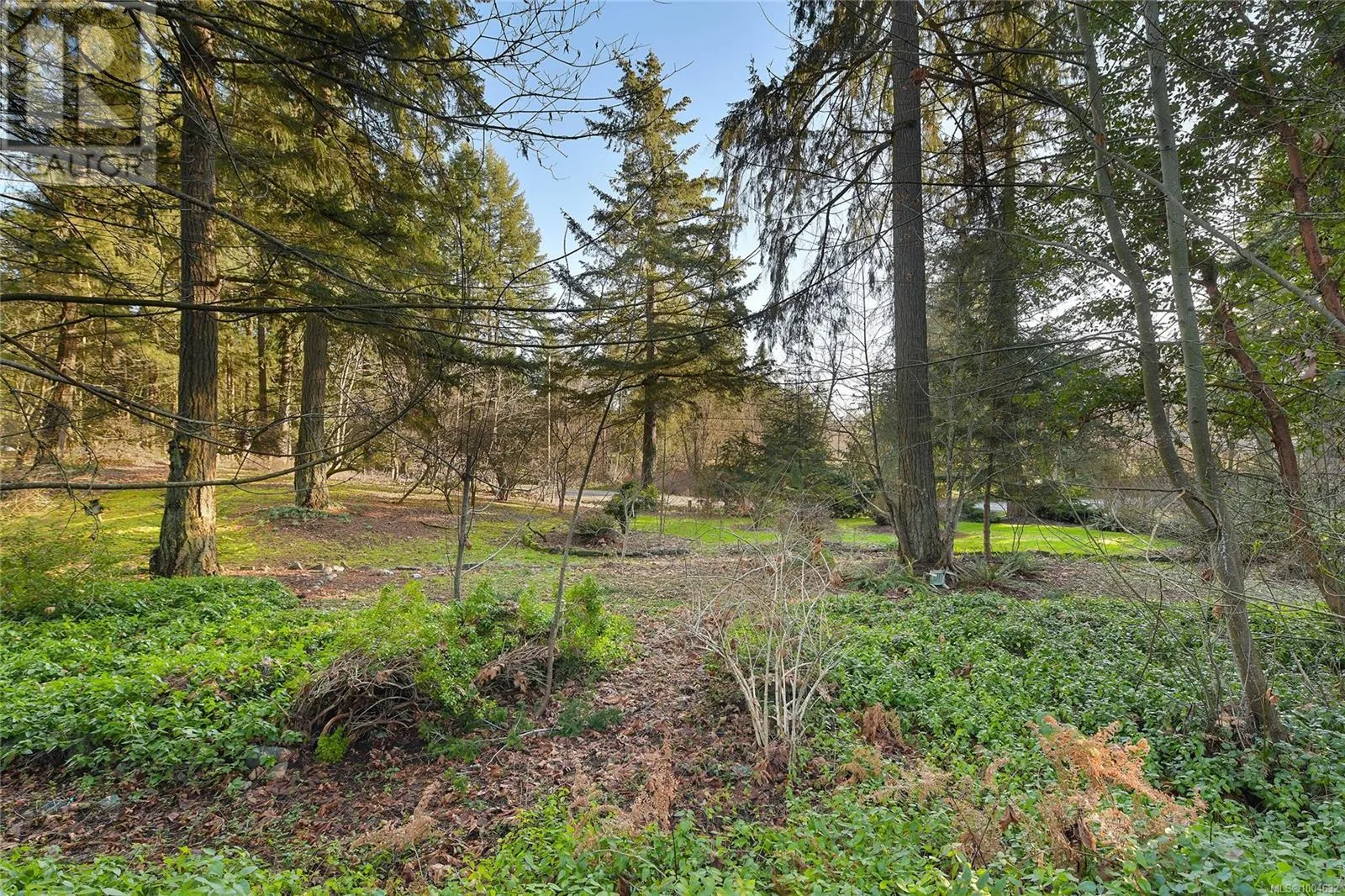 3795 GLENORA Rd