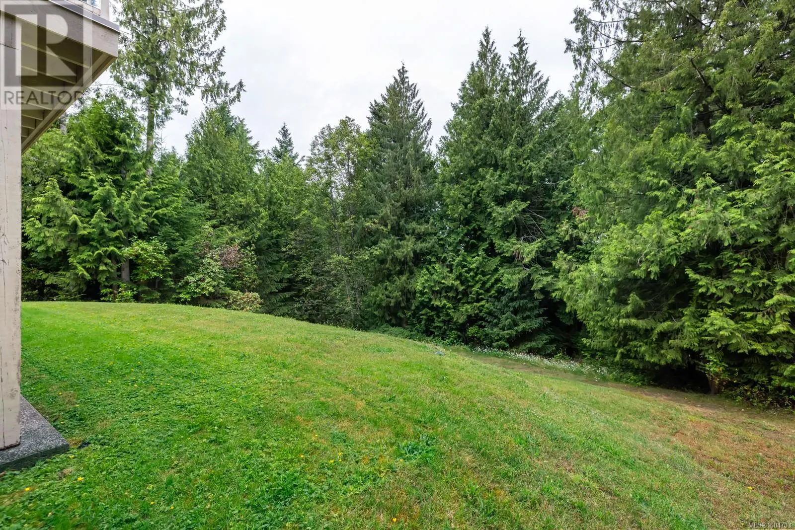 905 Cowerd Rd