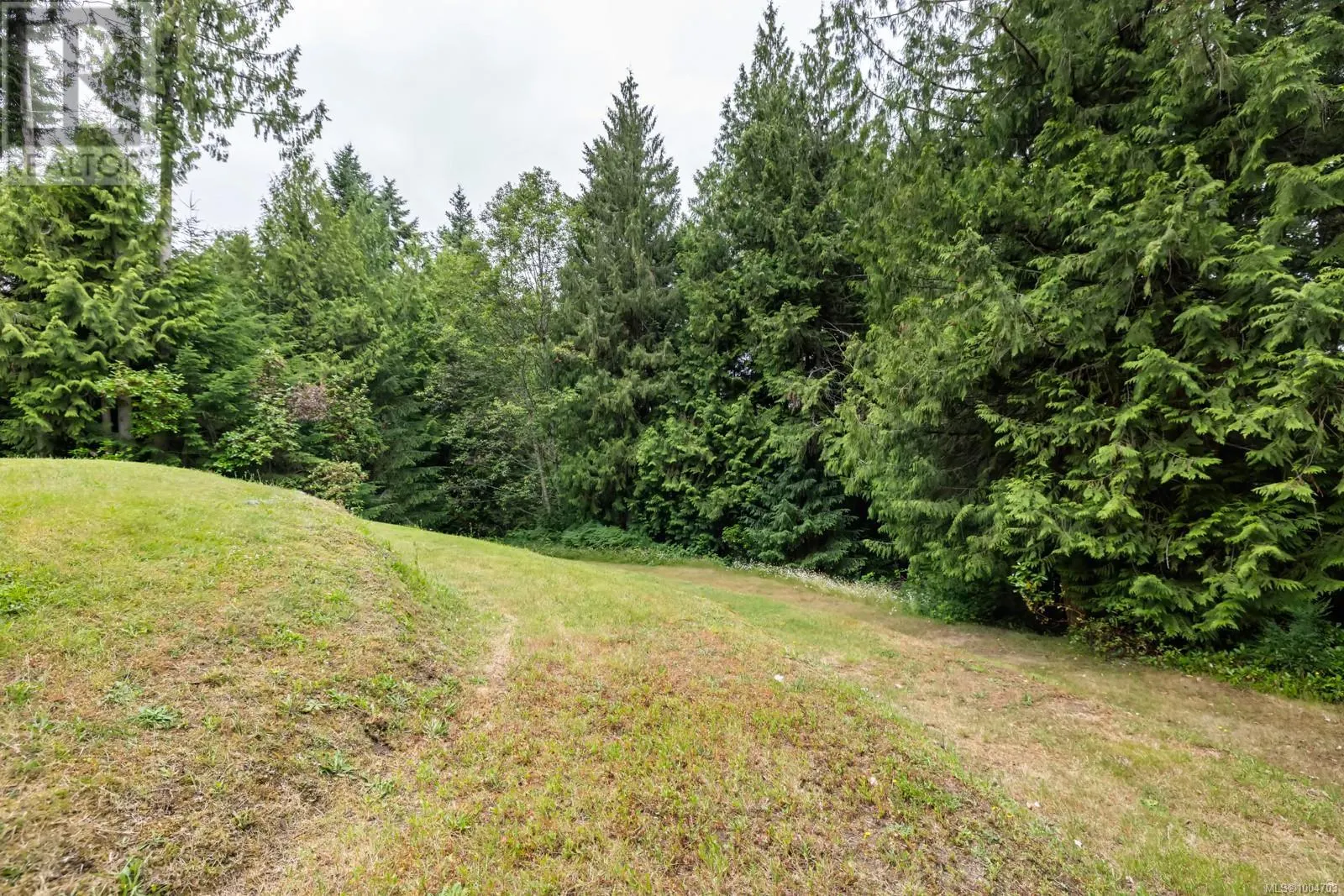 905 Cowerd Rd