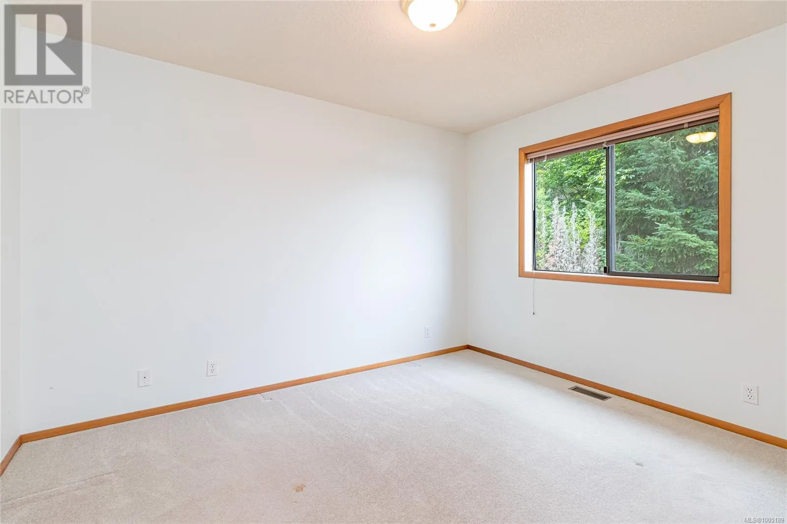 13289 Prospect Dr