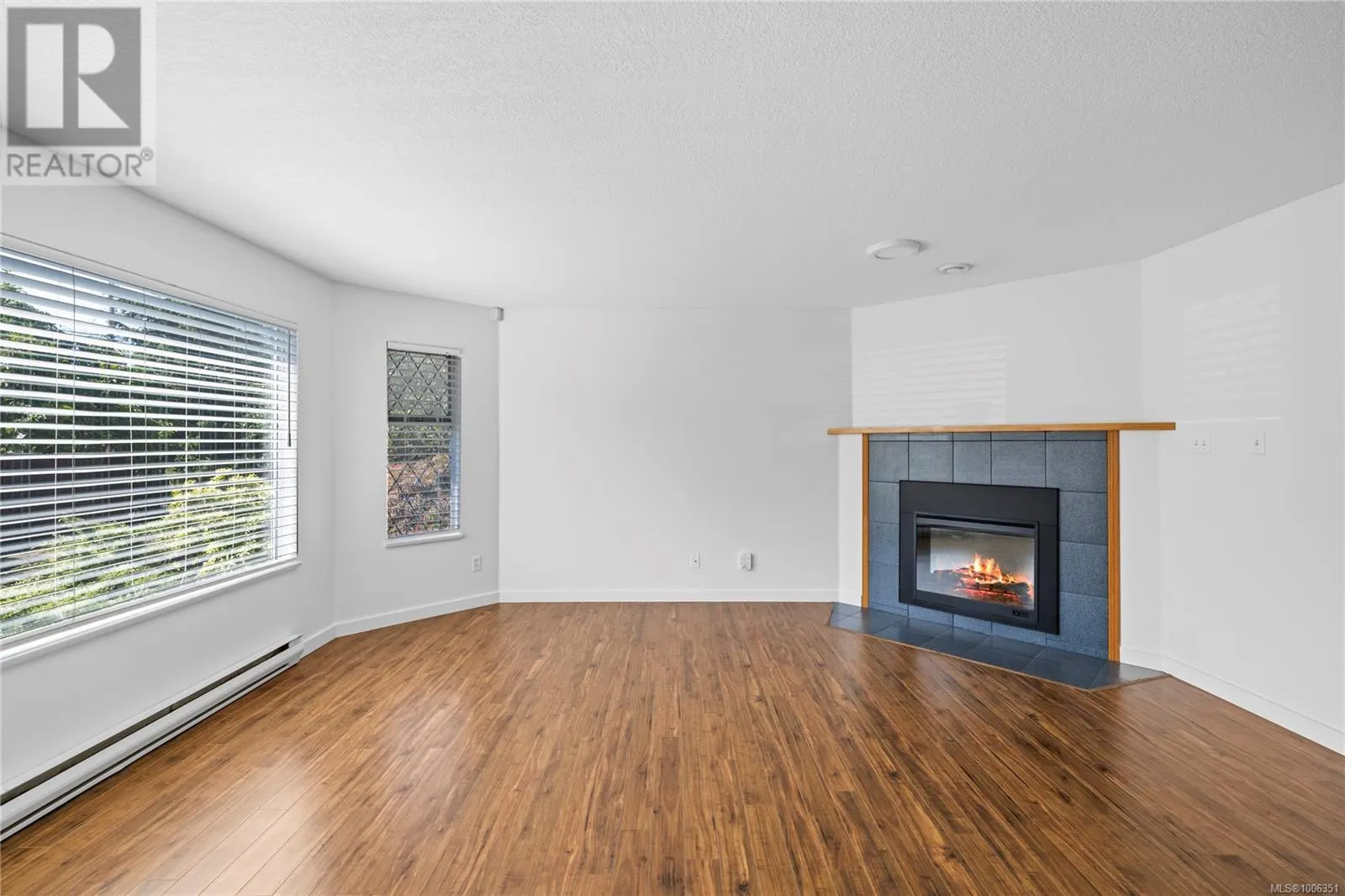 332 Moilliet St S