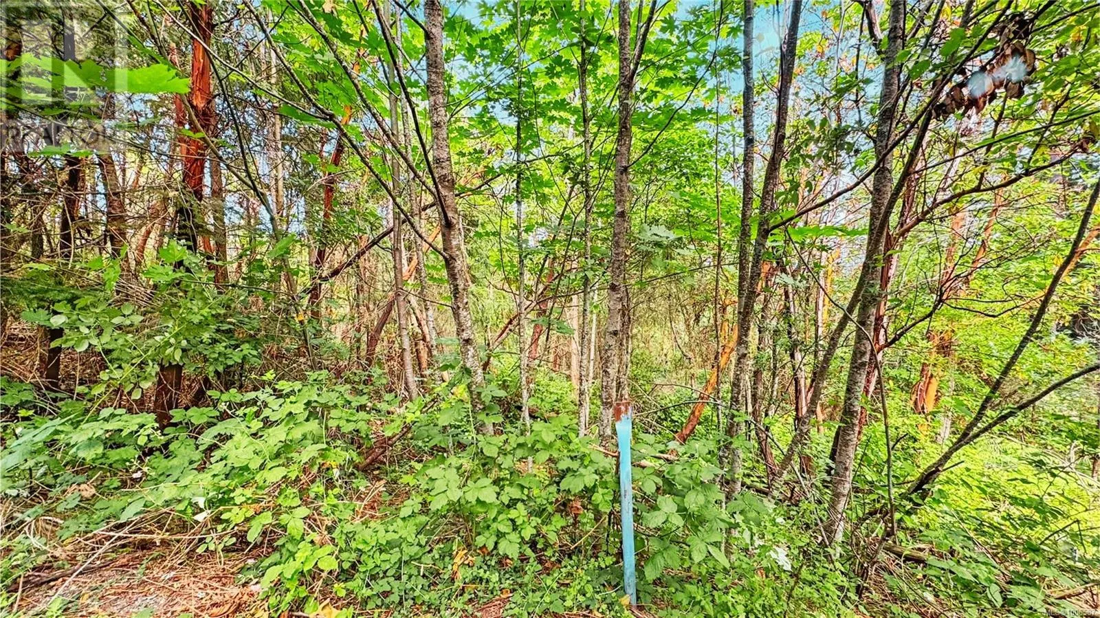286 King Rd