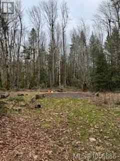 4547 Cowichan Lake Rd