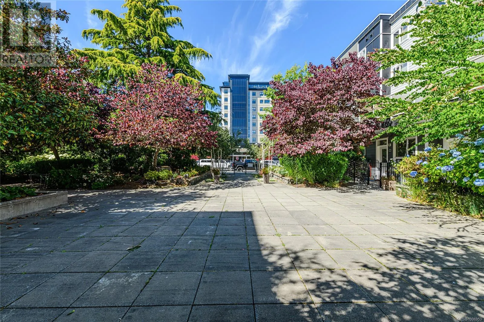 407 1315 Esquimalt Rd