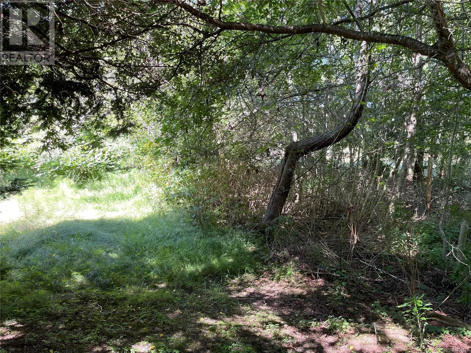 Lot A 375 Horne Lake Rd