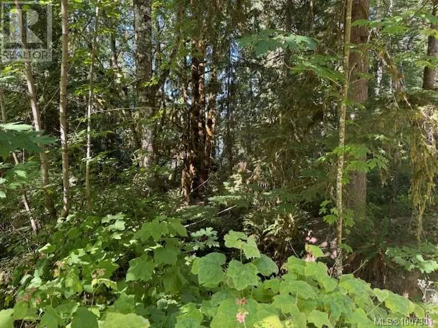 Lot 3 Johns Rd