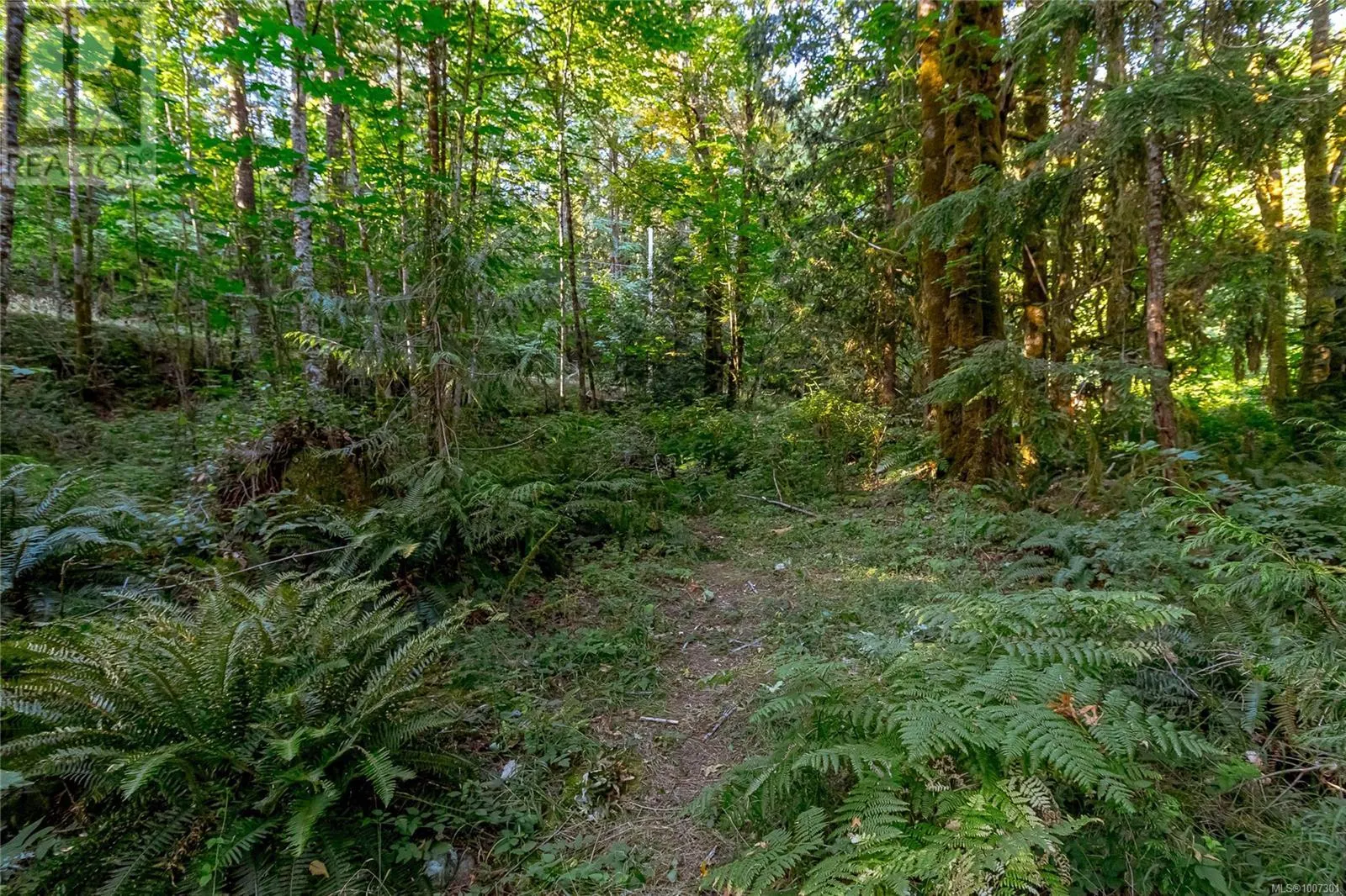 Lot 3 Johns Rd