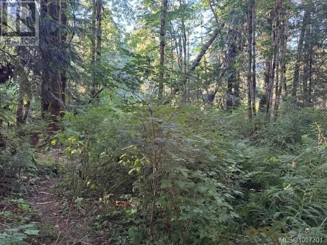 Lot 3 Johns Rd
