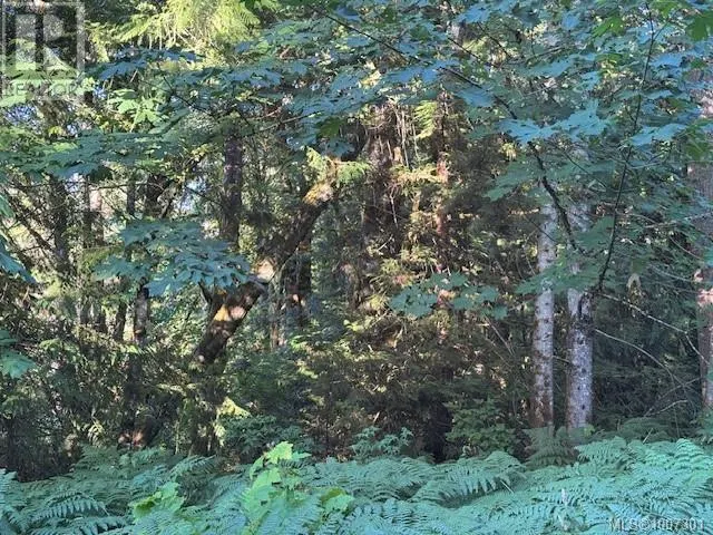 Lot 3 Johns Rd