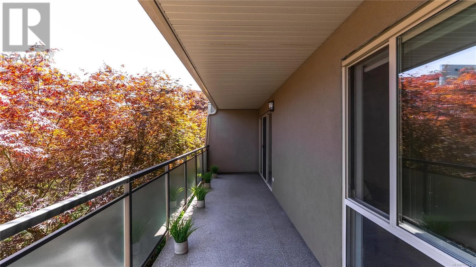 207 1419 Stadacona Ave