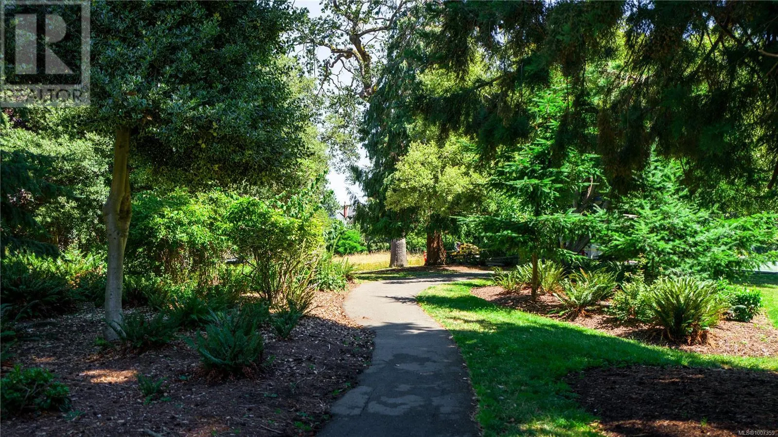 207 1419 Stadacona Ave