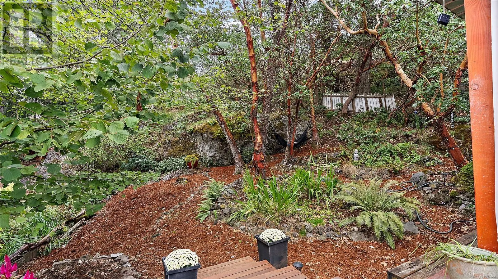 11 2587 Selwyn Rd