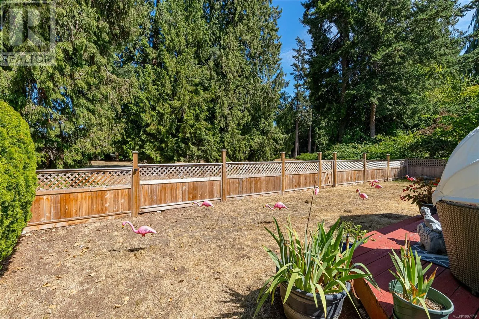 519 Seaward Way