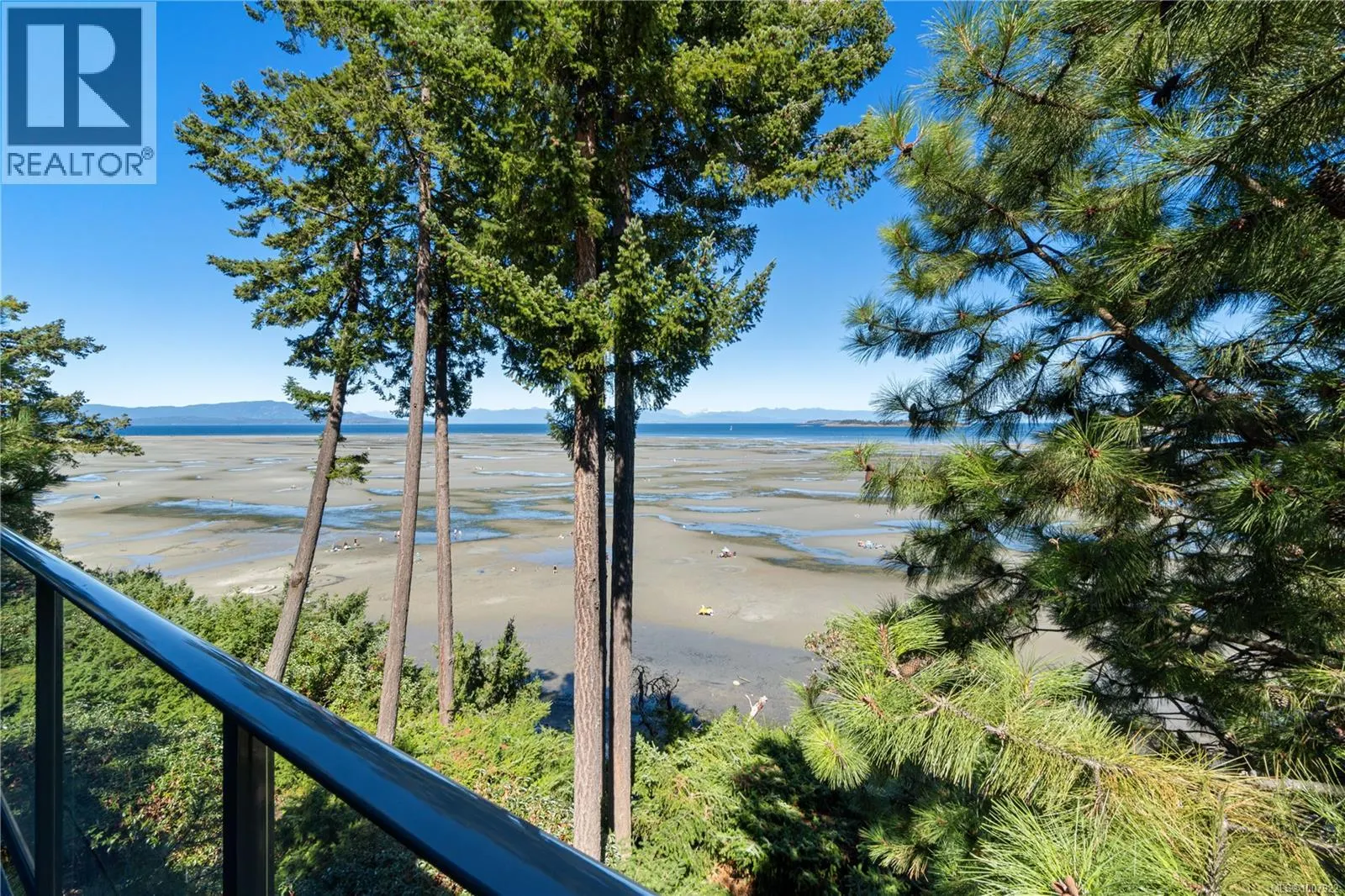 319 1155 Resort Dr