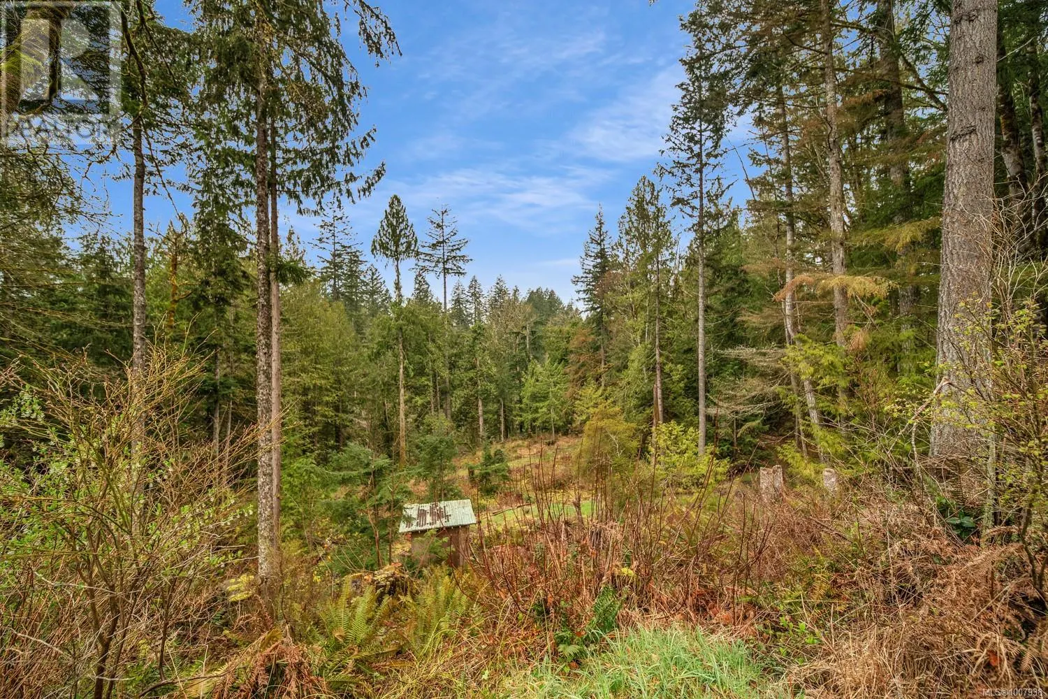 8706 Trans Canada Hwy