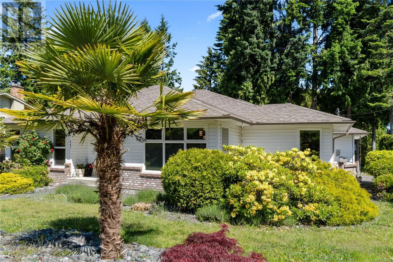 667 Tamarack Dr