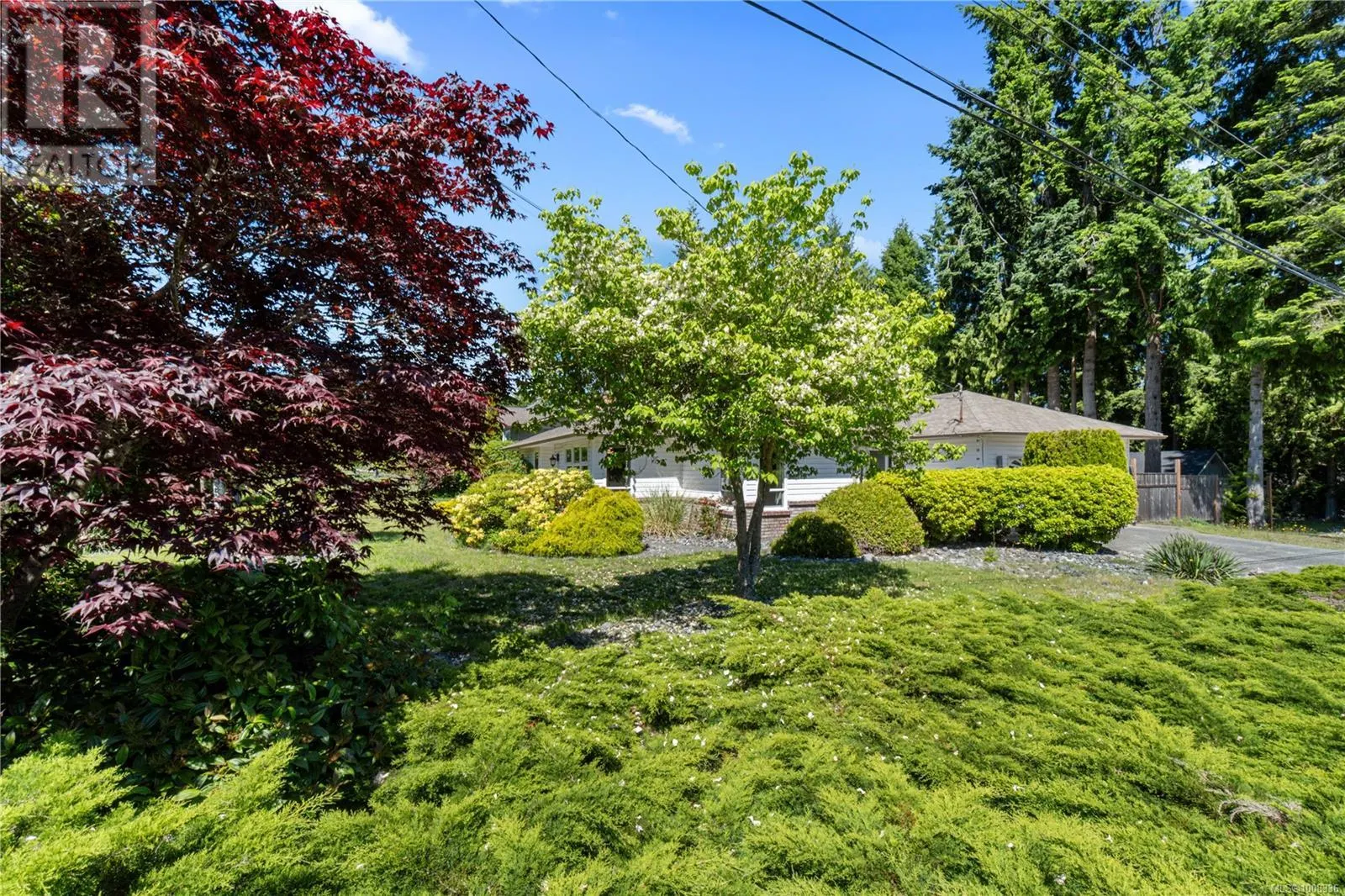 667 Tamarack Dr