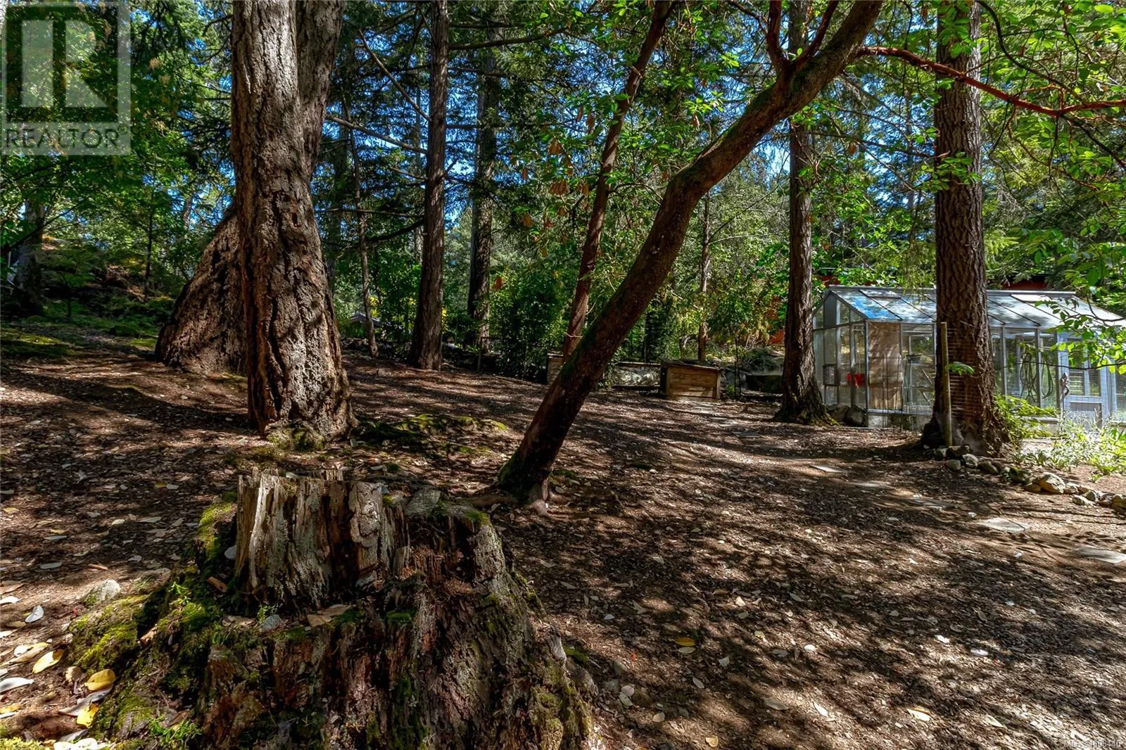 4487 Shadywood Pl
