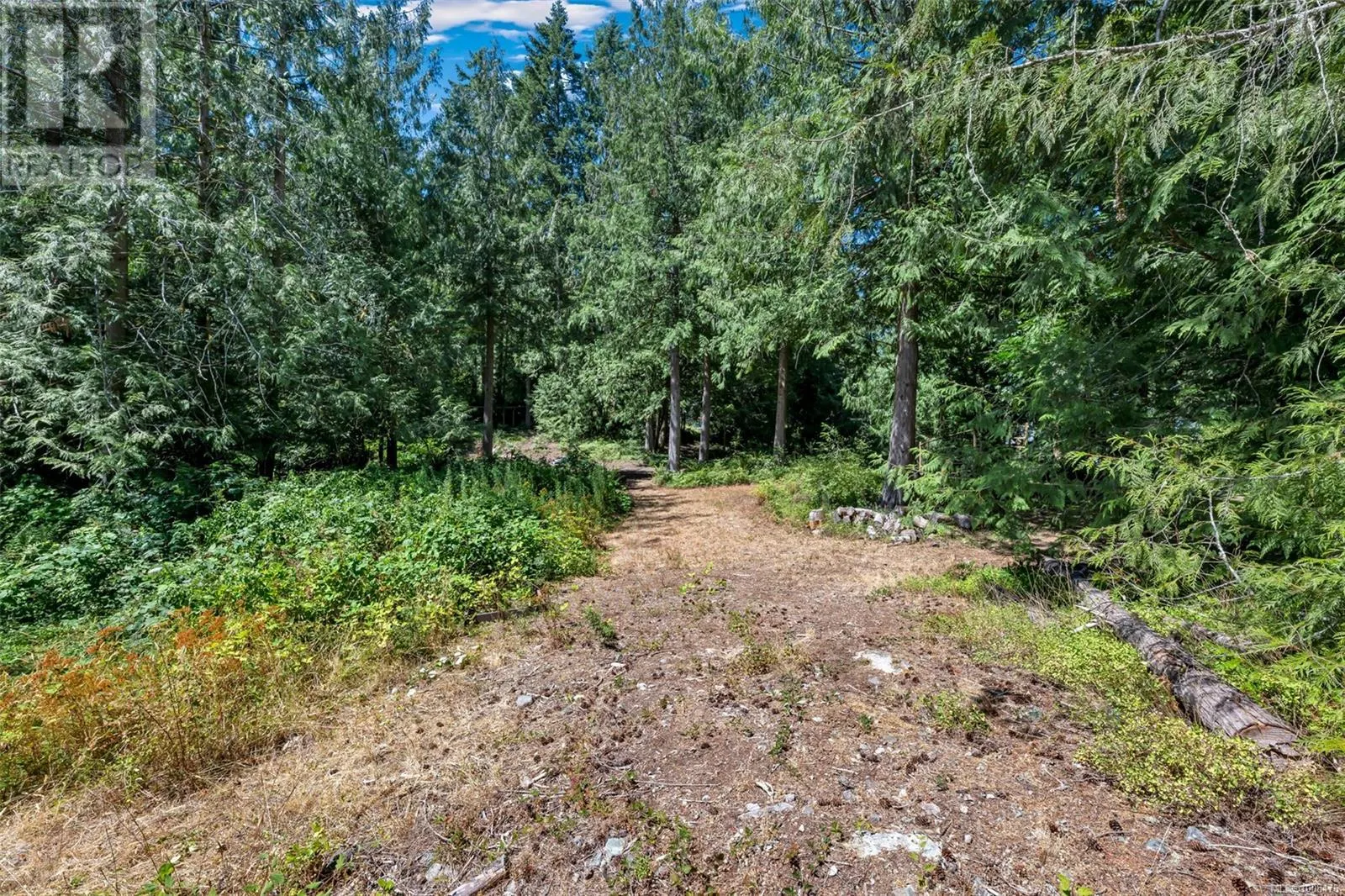 1904 Silver Mine Rd