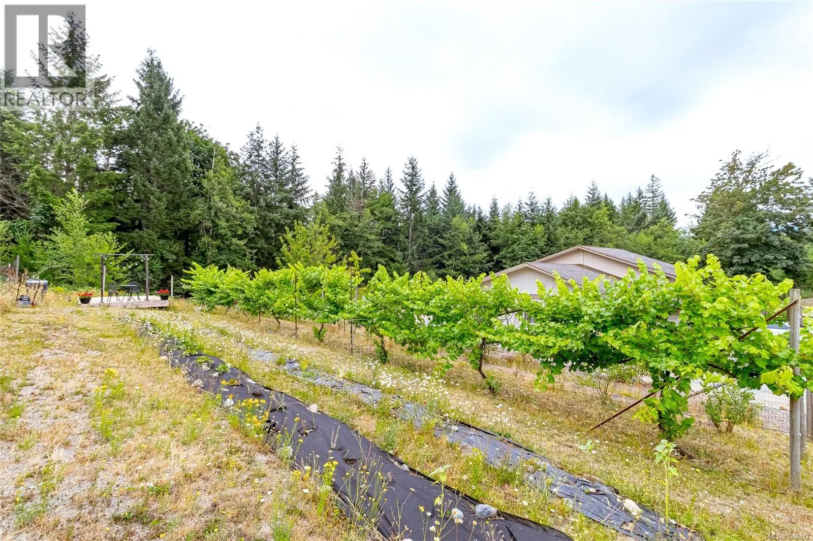 2540 Elk Trails Way