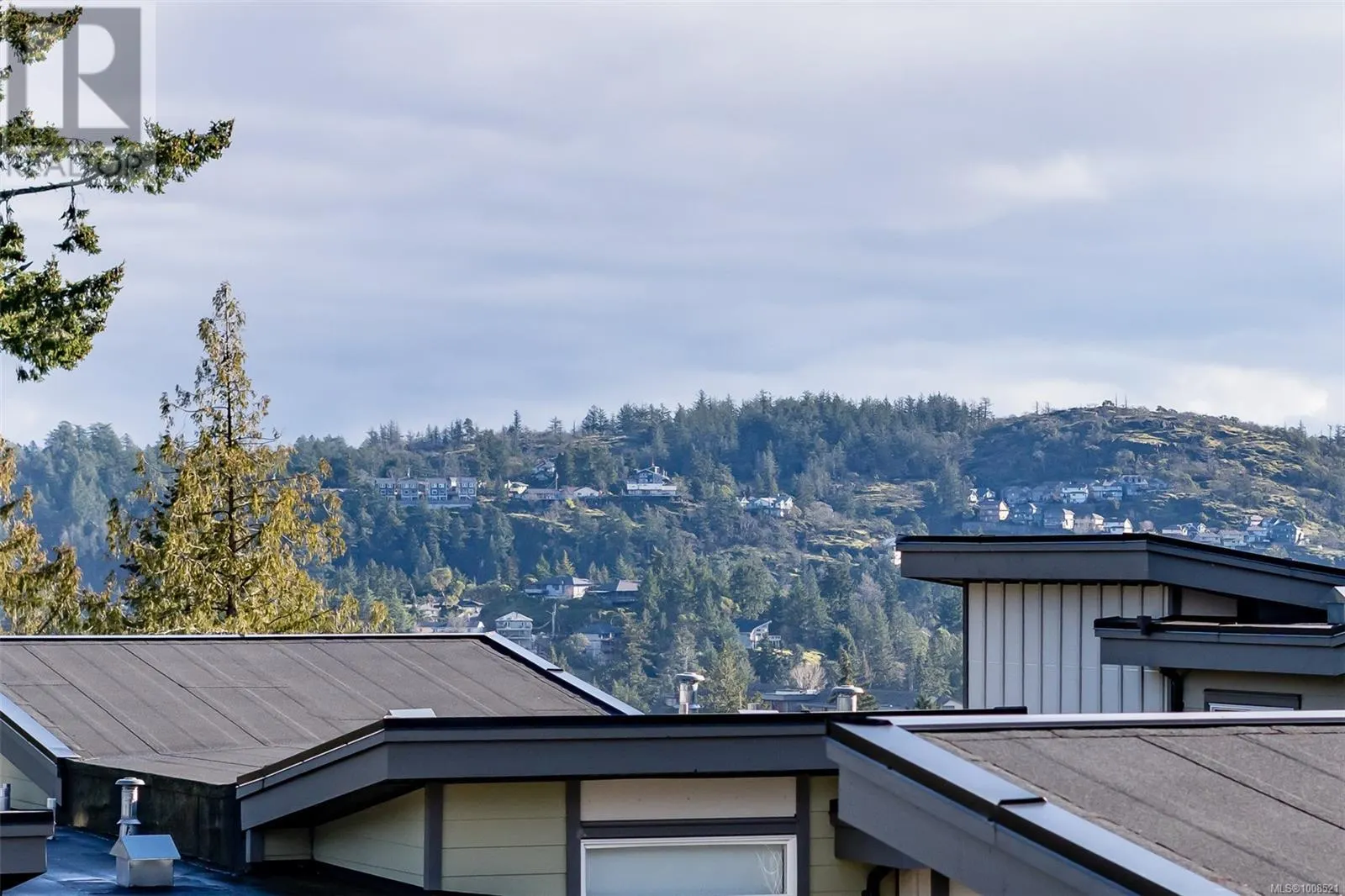 2213 Echo Valley Rise