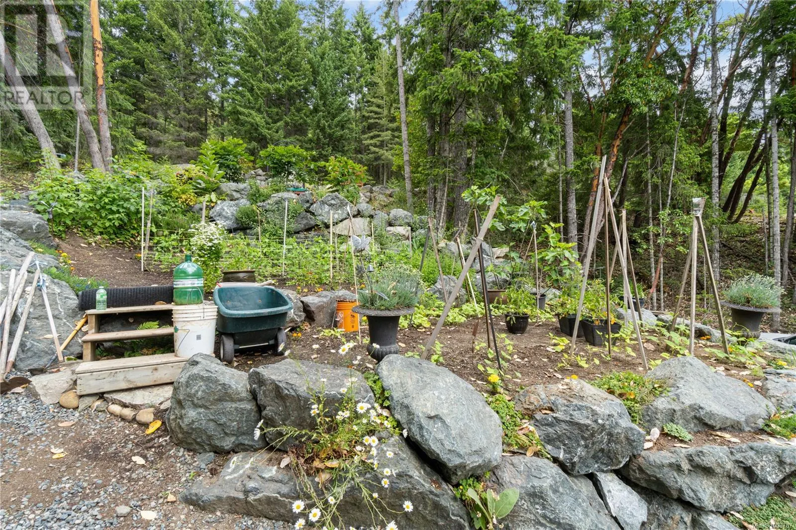 Lot 409 3664 Horne Lake Caves Rd