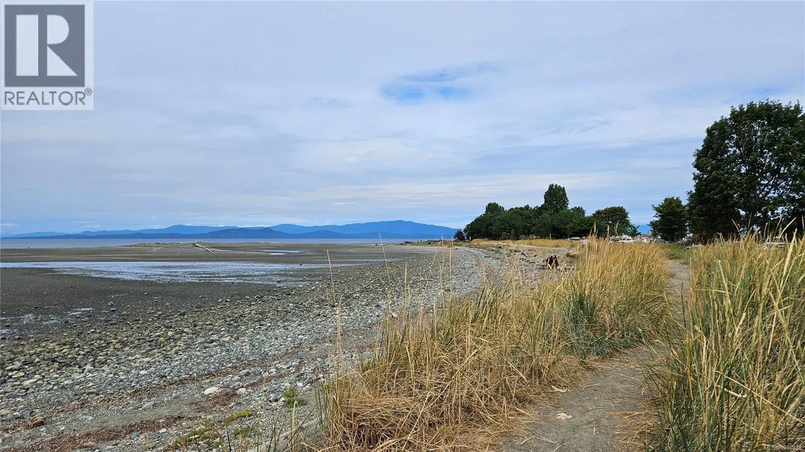 101 164 Alberni Hwy
