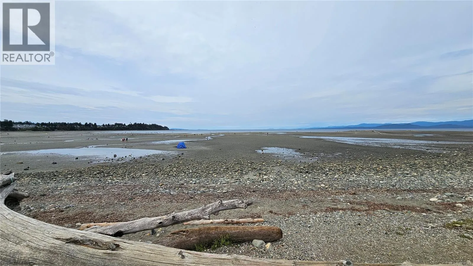 101 164 Alberni Hwy
