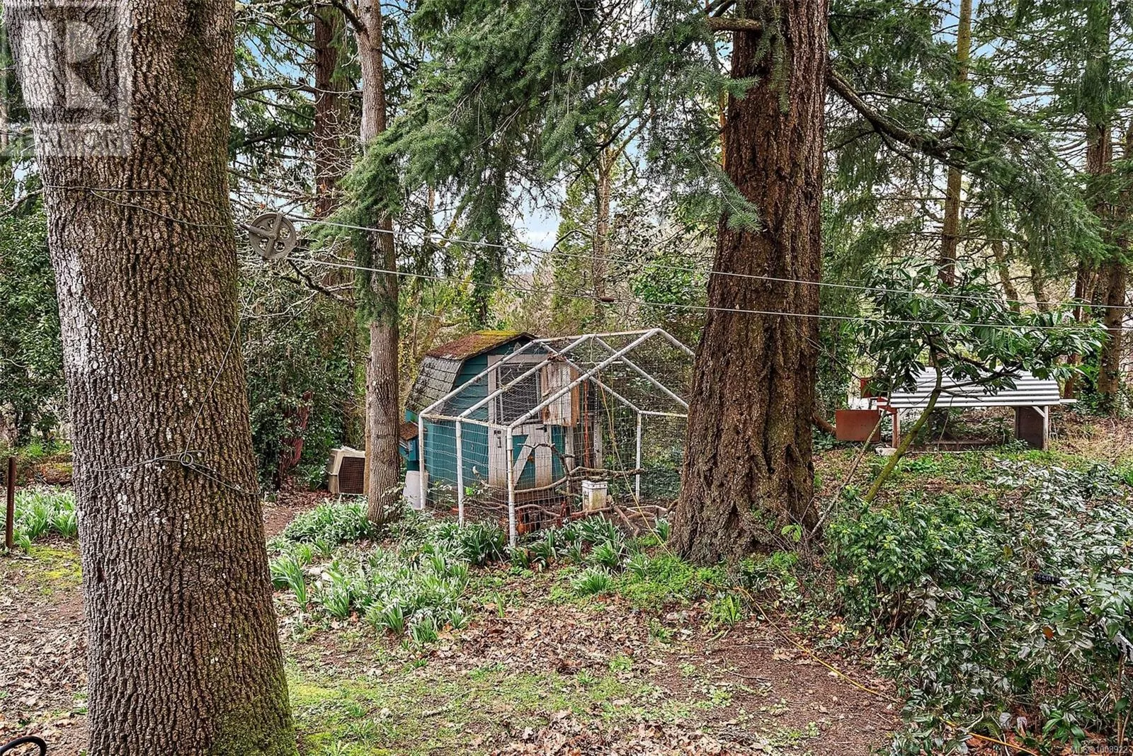 4607 West Saanich Rd