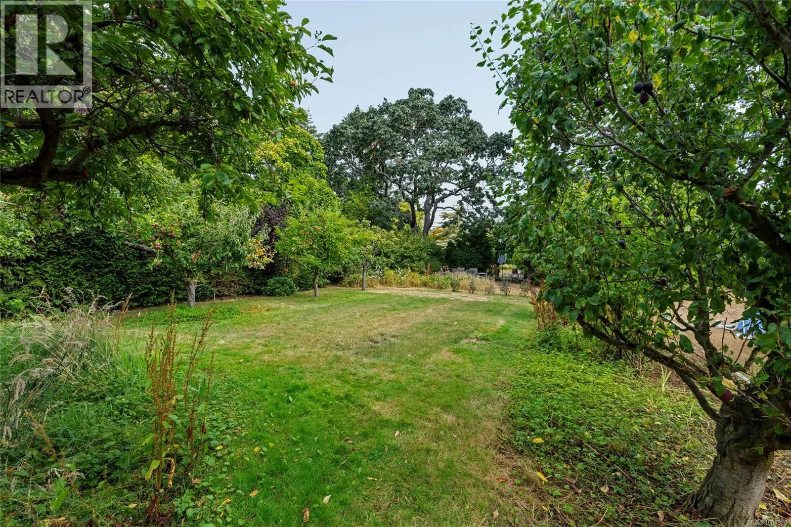 3990 Smugglers Cove Rd