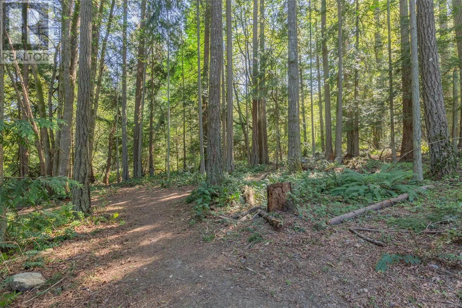 851 Sayward Rd