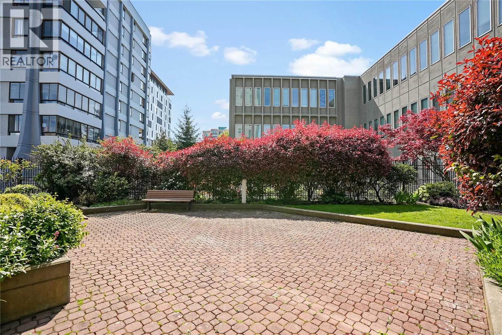 501 1015 Pandora Ave