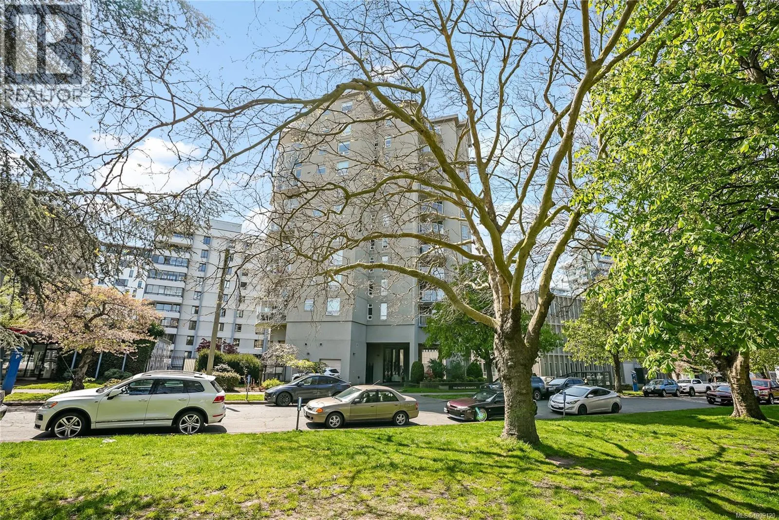 501 1015 Pandora Ave