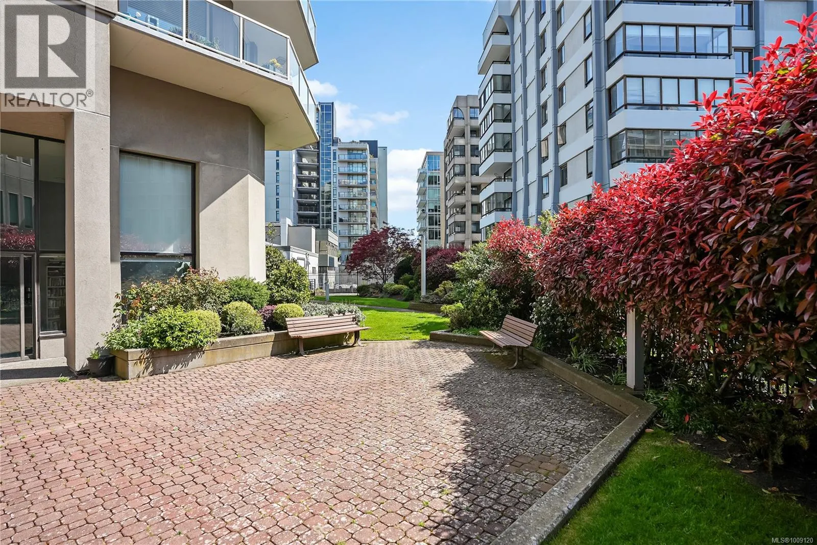501 1015 Pandora Ave