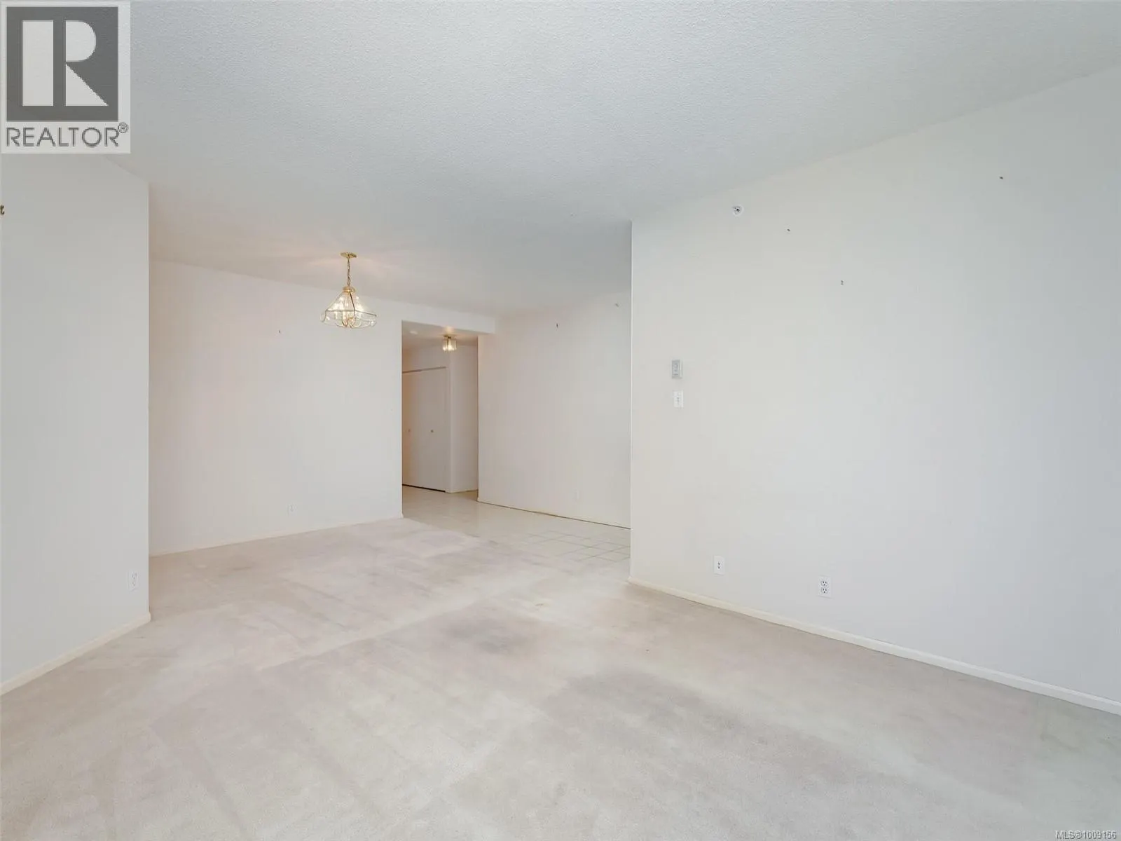 205 1010 View St