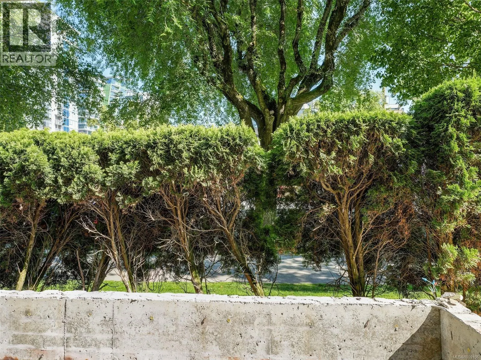 205 1010 View St