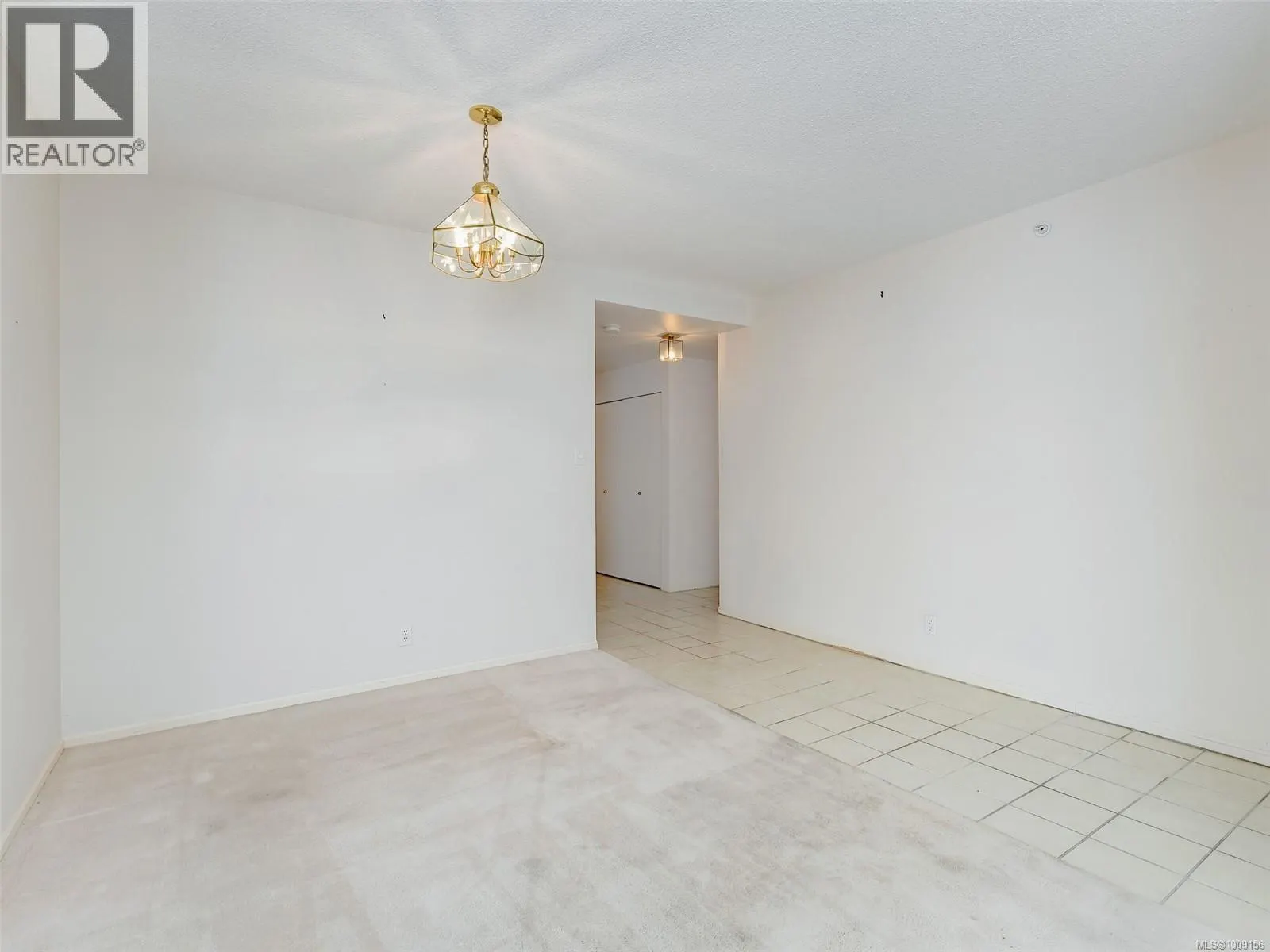 205 1010 View St
