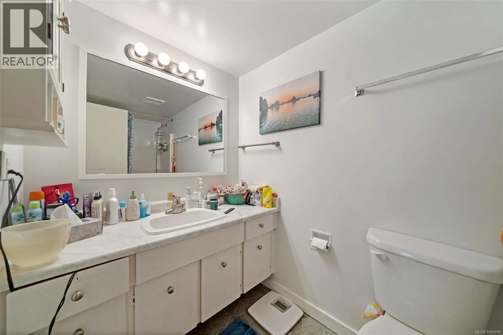 208 1124 Esquimalt Rd