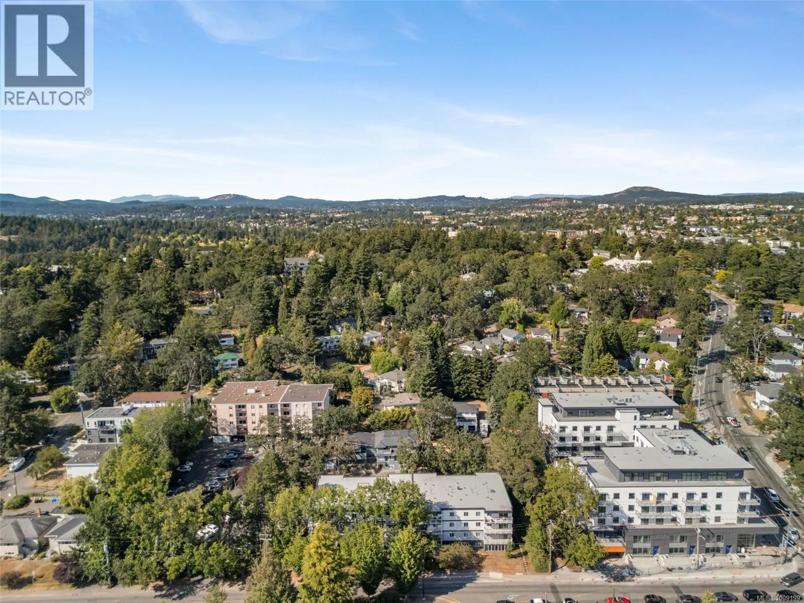 208 1124 Esquimalt Rd