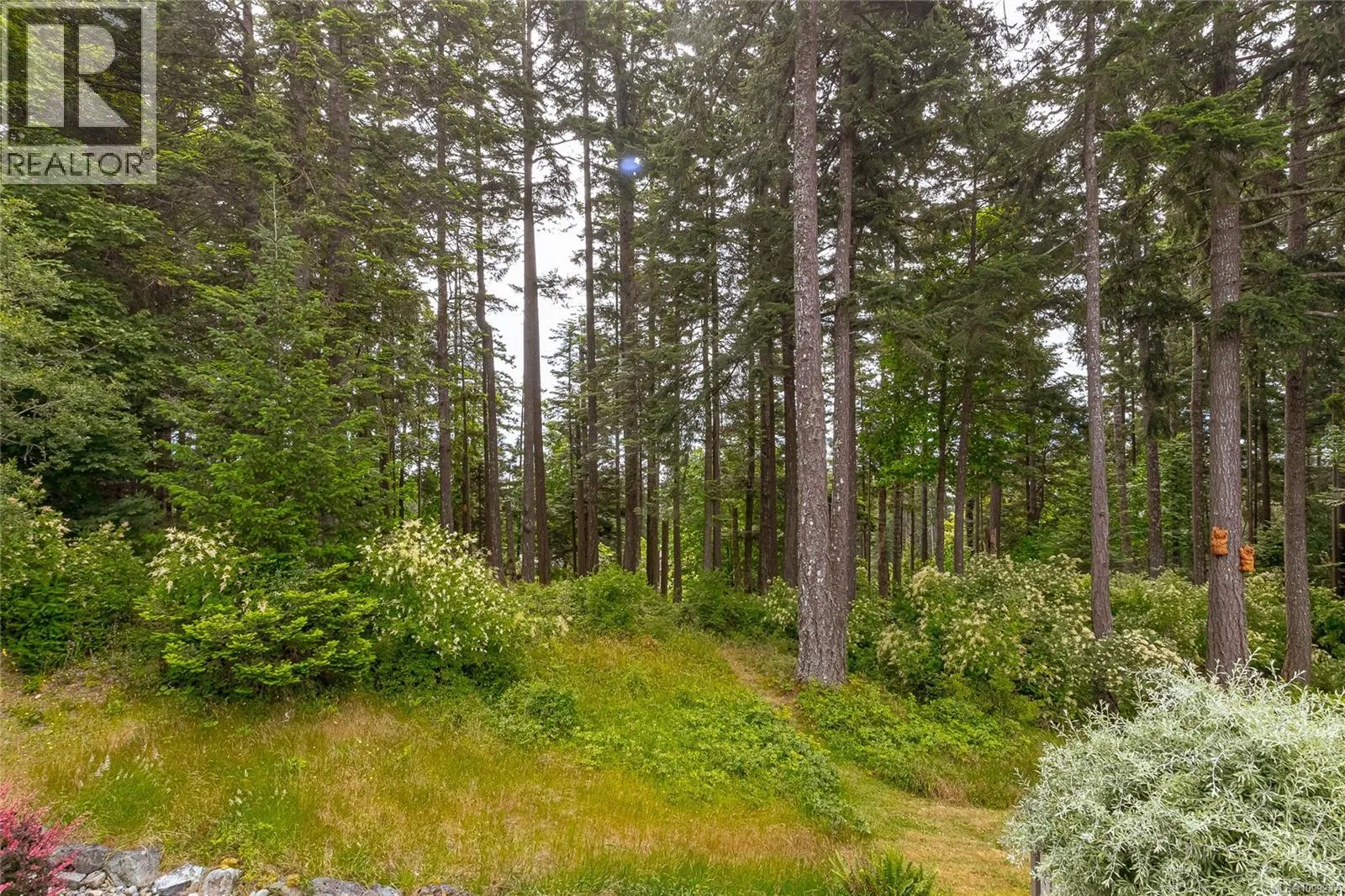 556 Delora Dr