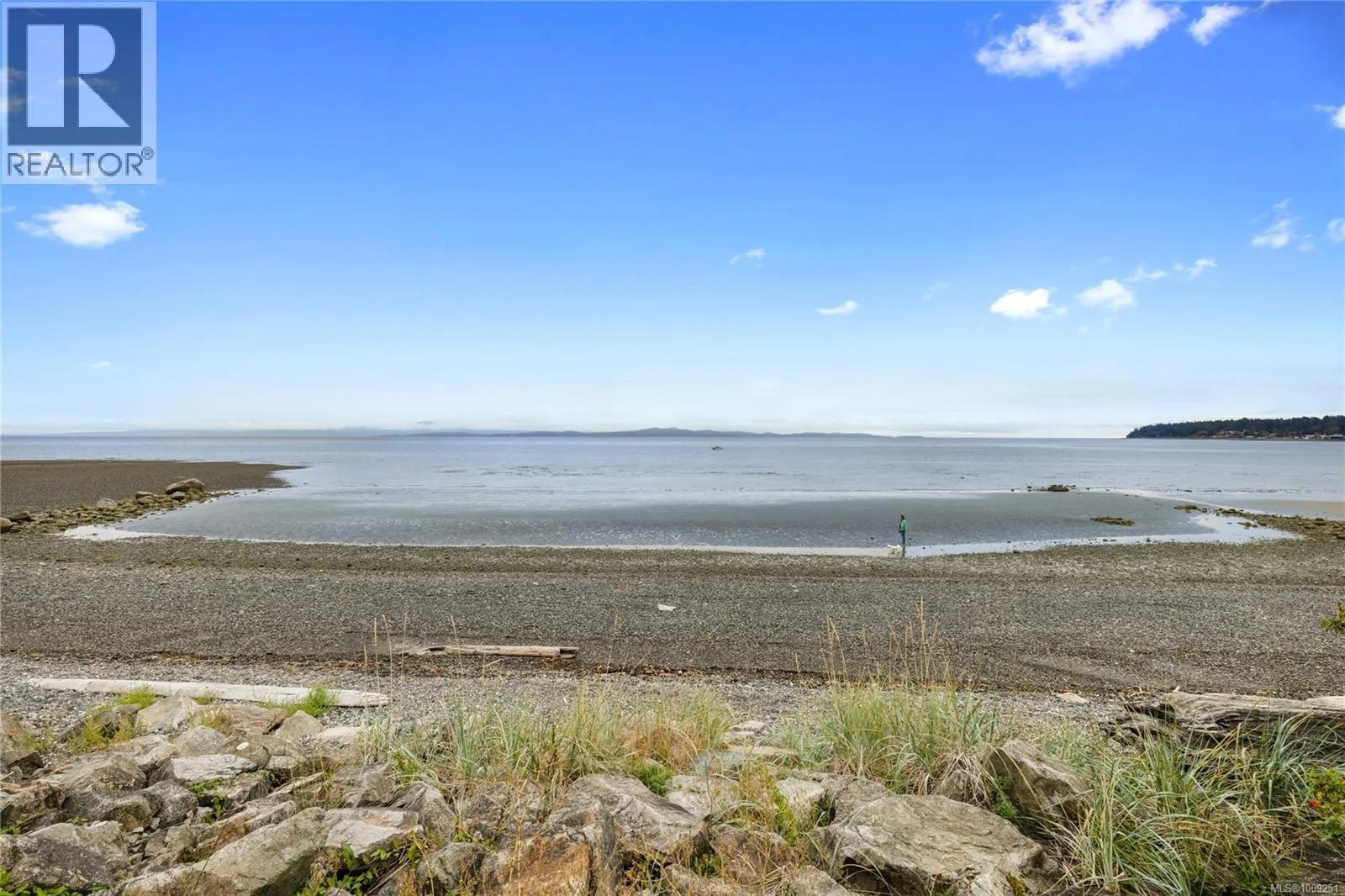 301 3156 Island Hwy W