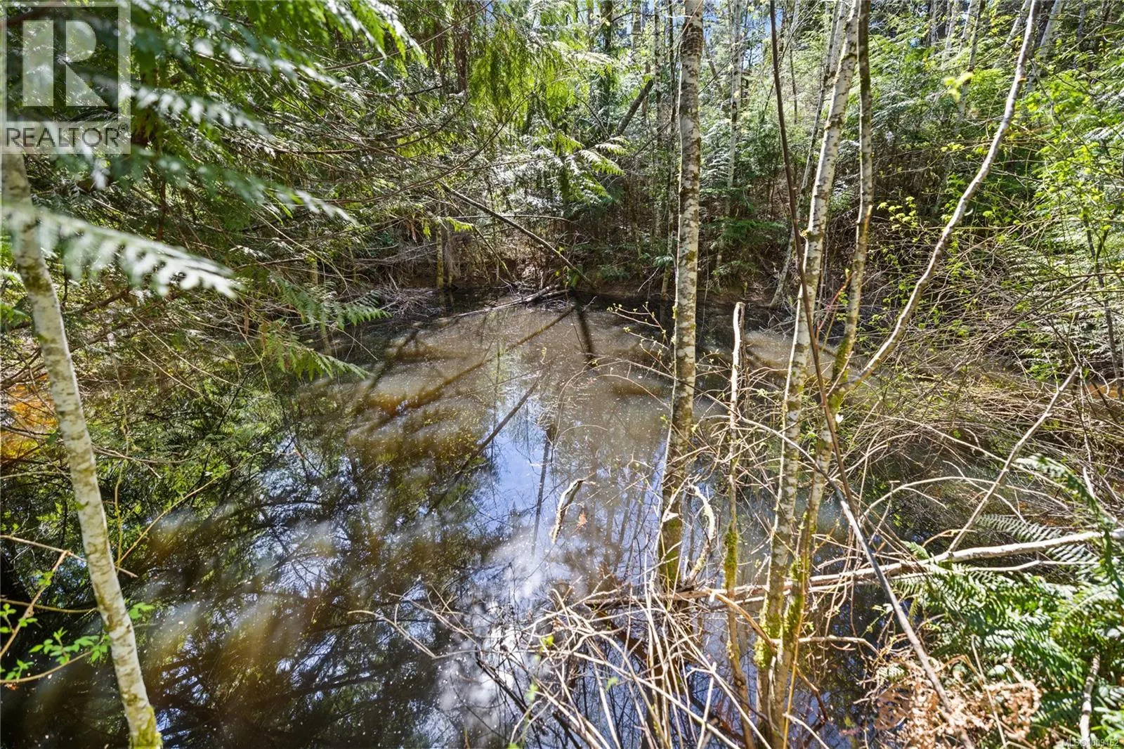 Lot 1 Horne Lake Rd
